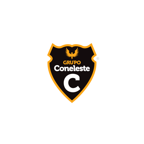 Grupo Coneleste