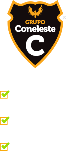 Grupo Coneleste: Empresa totalmente segurada e confiável, Vigilância móvel de veículos e Equipe de segurança experiente e qualificada
